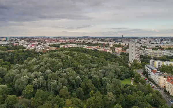 Luftaufnahme des Volksparks Friedrichshain mit dichtem Baumbestand und Berliner Skyline im Hintergrund.